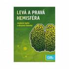 Albi - Mozkovna Levá & Pravá hemisféra 