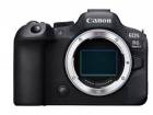 Canon EOS R6 Mark II body
