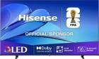 Hisense 65E79Q