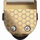 41011081-6.jpg